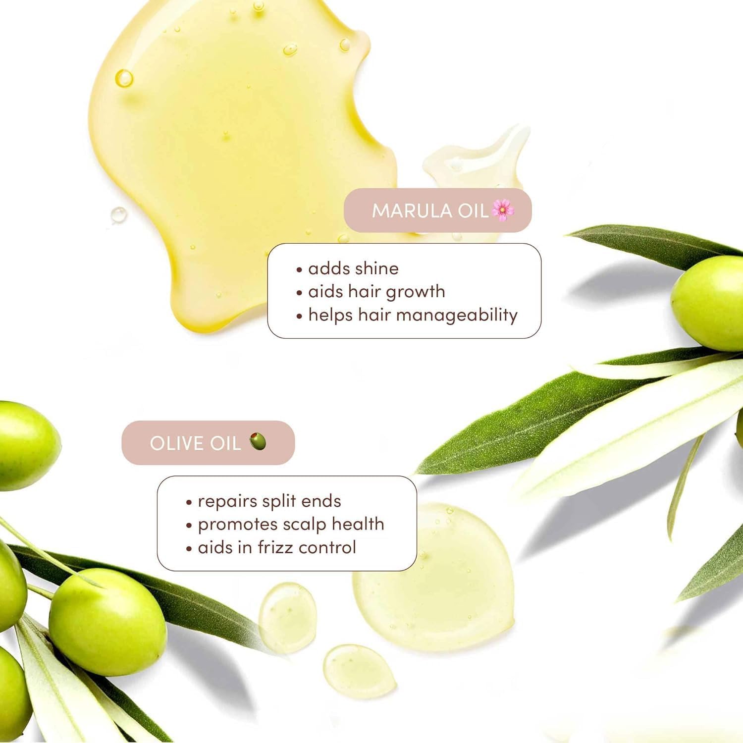 true texture shampoo 500gm