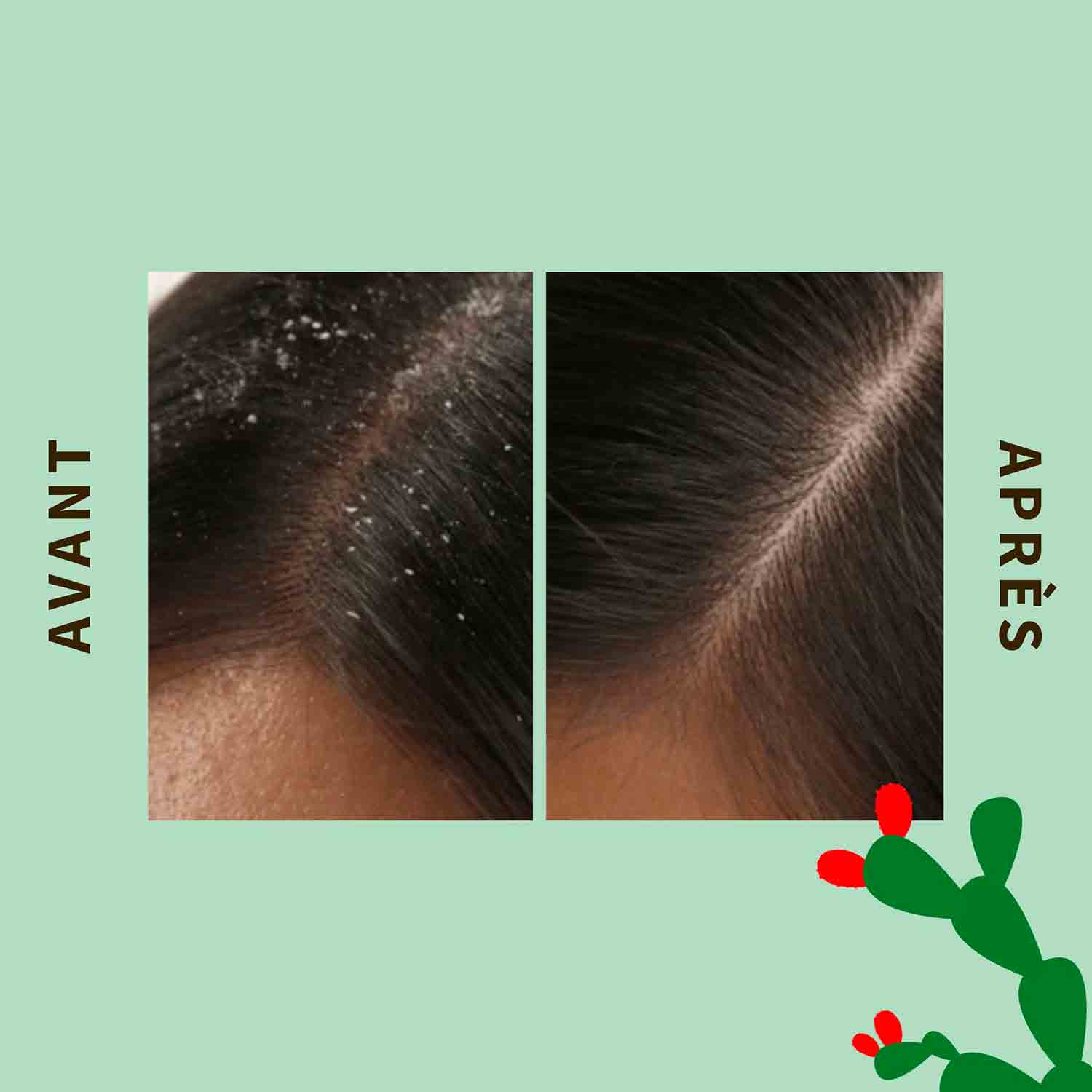 Pure Scrub - Image 3