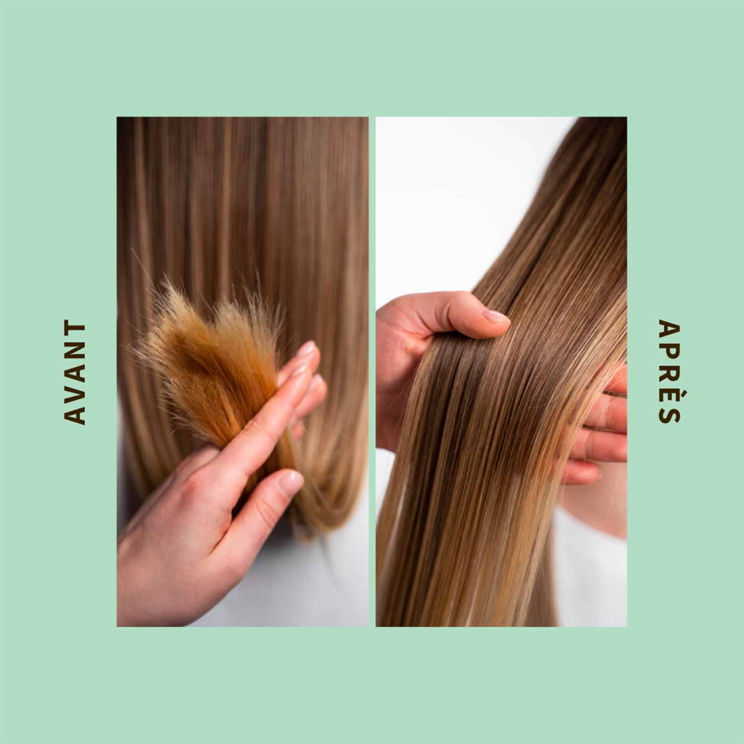 Shampoing Cheveux Normax A Gras - Image 3