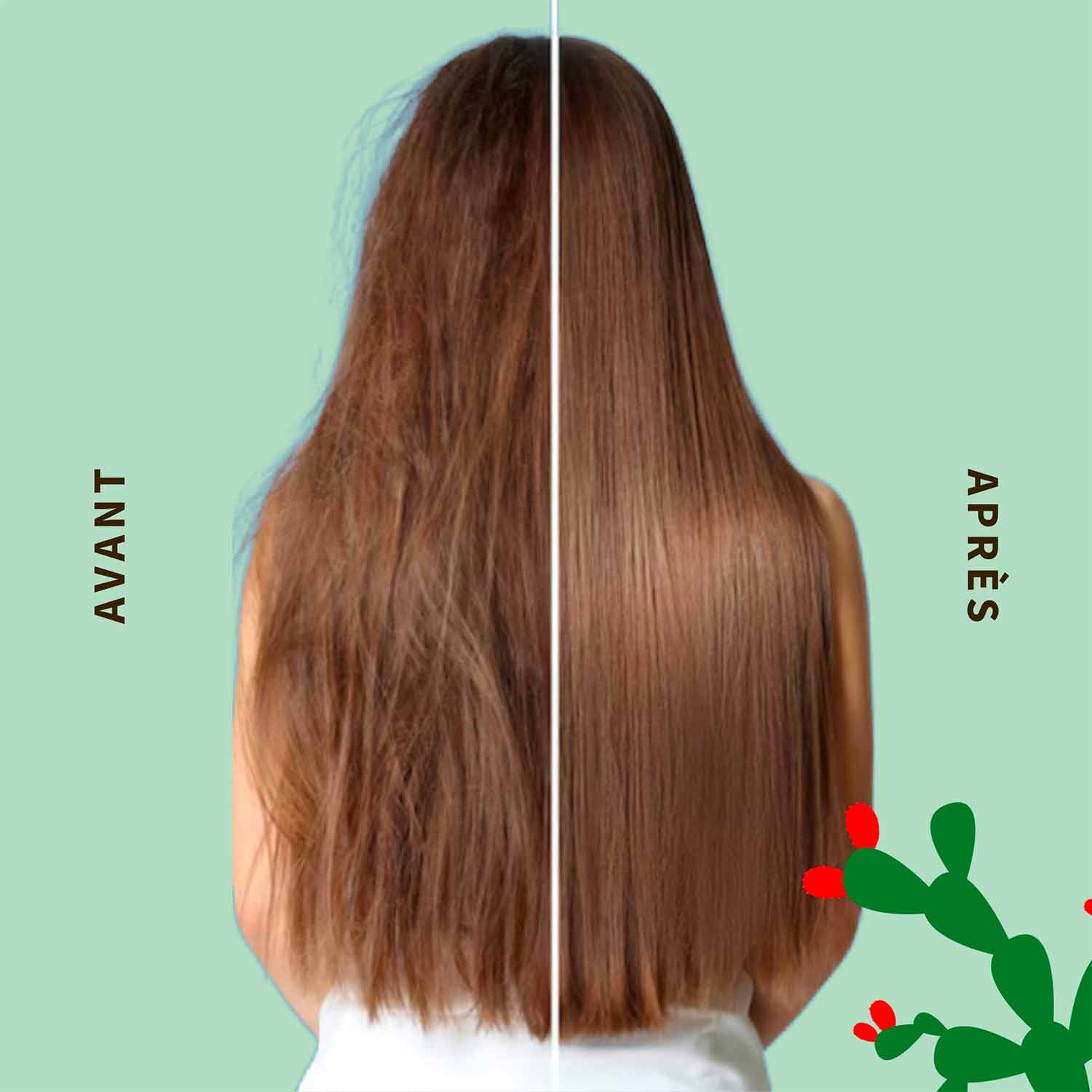 Soin Demelant - Image 3