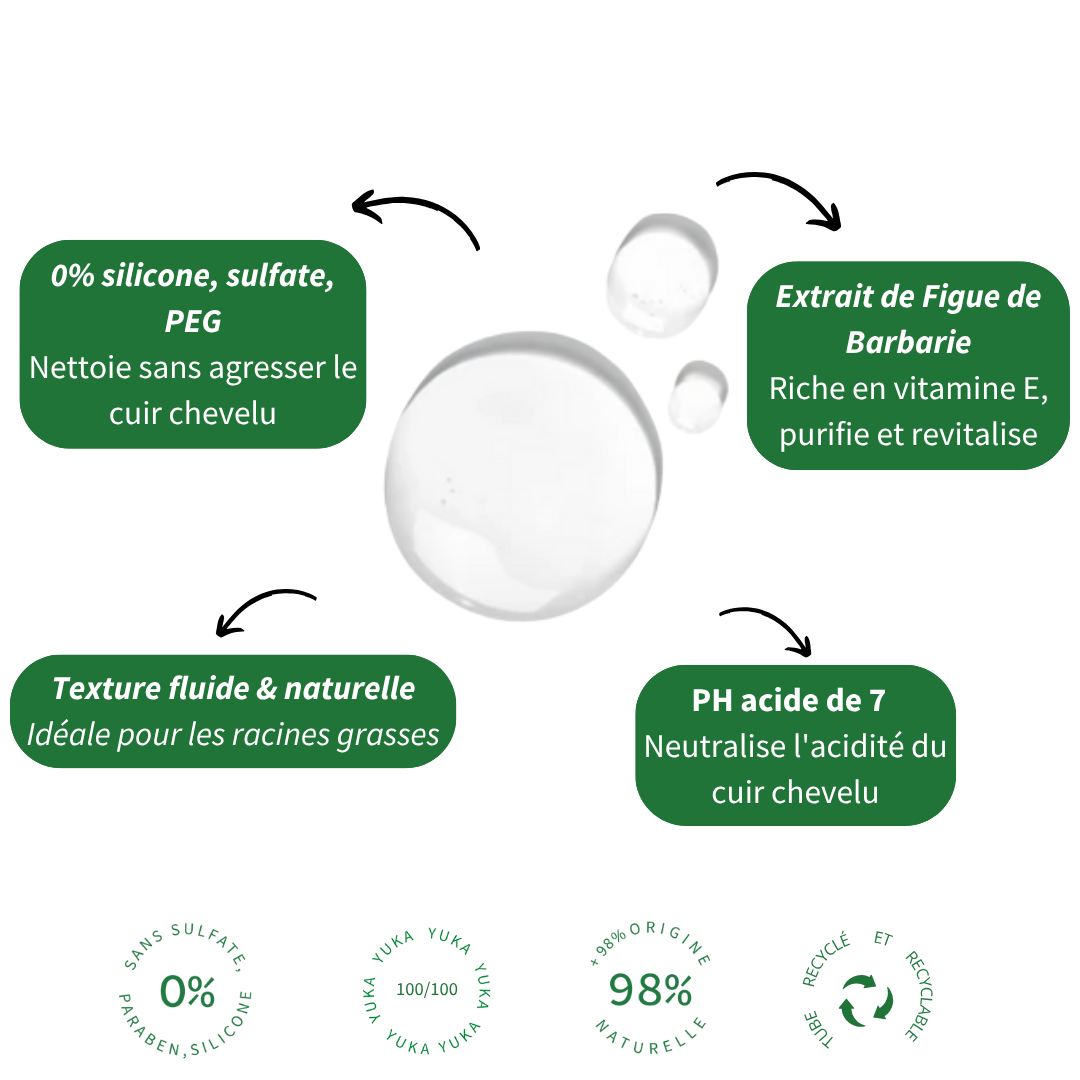 Shampoing Cheveux Normax A Gras - Image 4